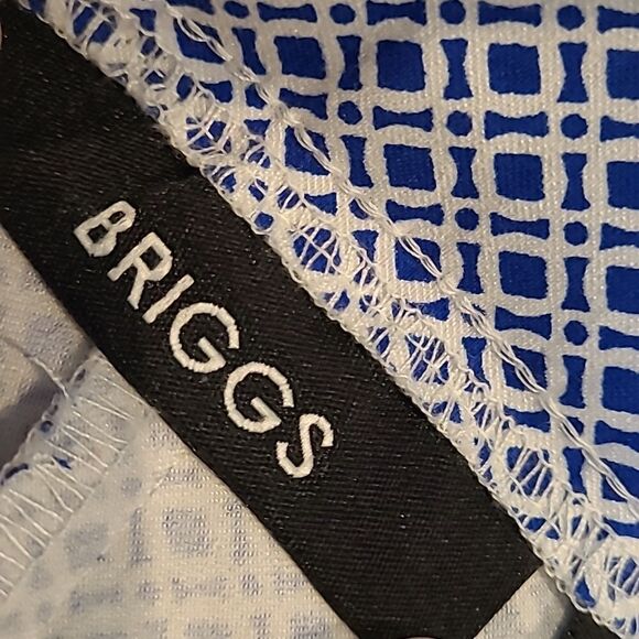 Briggs sz 12 geometric design Bermuda shorts NWOT - Picture 2 of 7